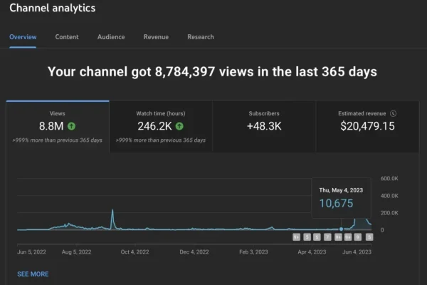 YouTube Analytics Chart